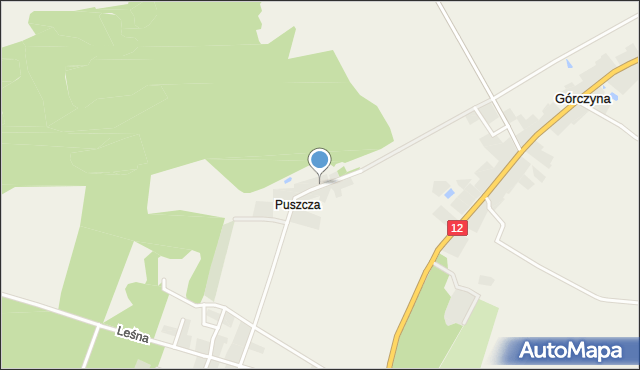 Puszcza gmina Szlichtyngowa, Puszcza, mapa Puszcza gmina Szlichtyngowa