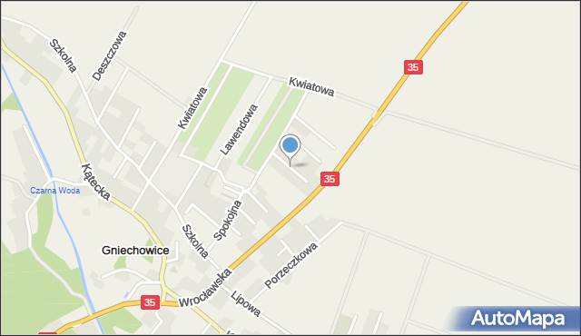 Gniechowice, Radosna, mapa Gniechowice