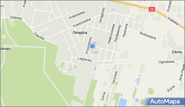 Kalisz, Raszyńska, mapa Kalisza