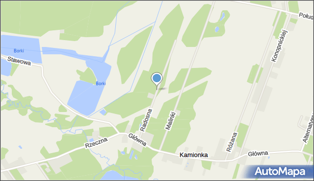Kamionka gmina Radziejowice, Radosna, mapa Kamionka gmina Radziejowice