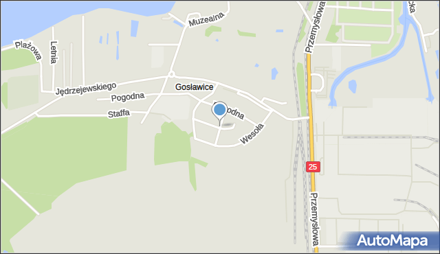 Konin, Radosna, mapa Konina