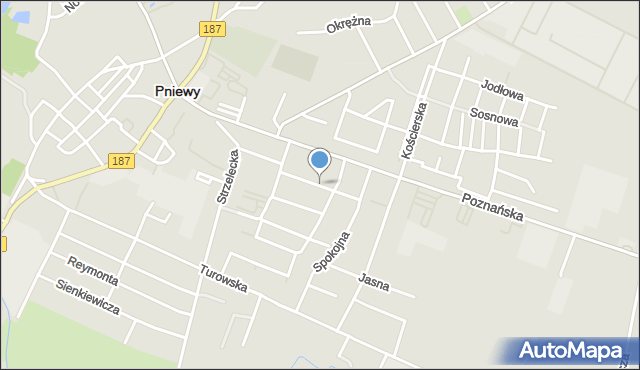 Pniewy powiat szamotulski, Radosna, mapa Pniewy powiat szamotulski