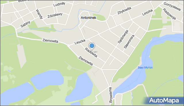 Poznań, Radowita, mapa Poznania