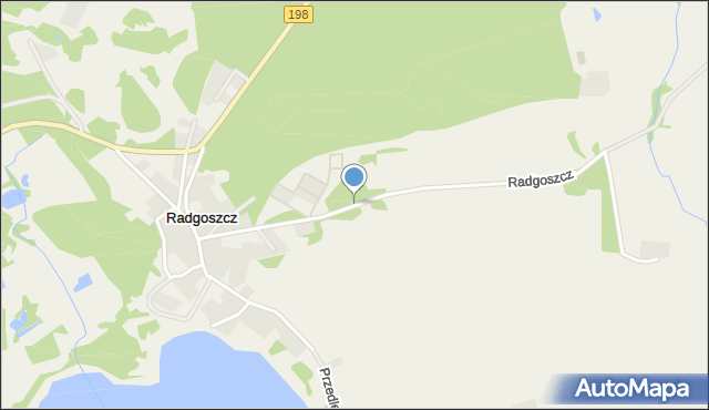 Radgoszcz gmina Międzychód, Radgoszcz, mapa Radgoszcz gmina Międzychód