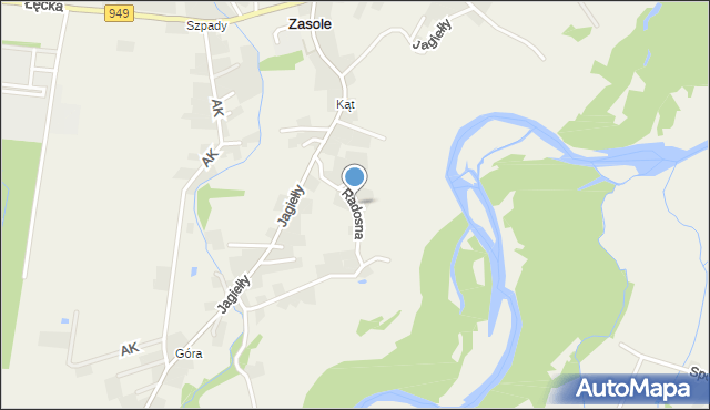 Zasole, Radosna, mapa Zasole