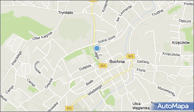 Bochnia, Regis, mapa Bochni