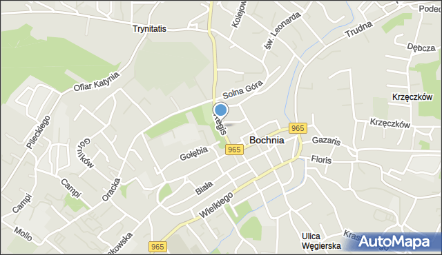 Bochnia, Regis, mapa Bochni