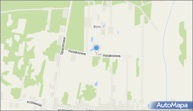 Borzęcin Duży, Relaksowa, mapa Borzęcin Duży