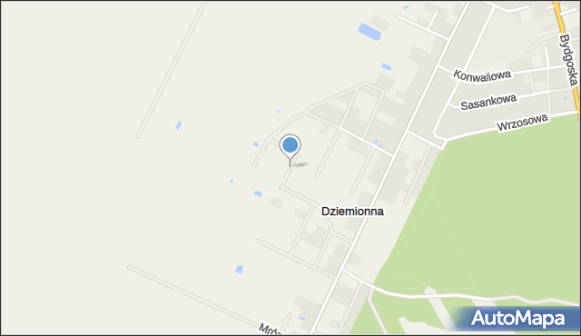 Dziemionna, Rekreacyjna, mapa Dziemionna