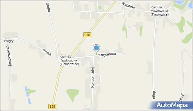 Golasowice, Reymonta Władysława, mapa Golasowice