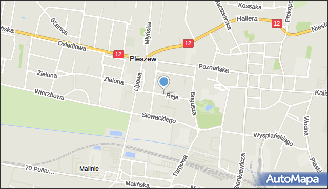 Pleszew, Reja Mikołaja, mapa Pleszew