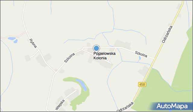 Popielowska Kolonia, Reymonta Władysława, mapa Popielowska Kolonia