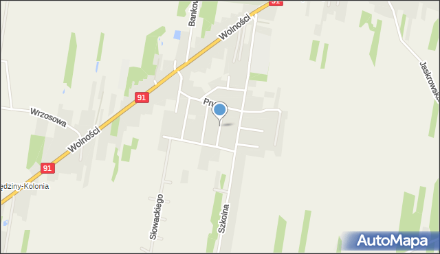 Rędziny powiat częstochowski, Reymonta Władysława, mapa Rędziny powiat częstochowski