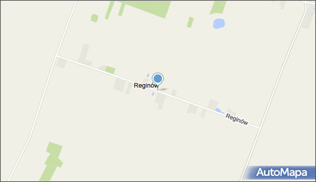 Reginów, Reginów, mapa Reginów