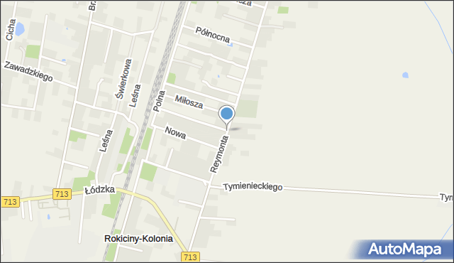 Rokiciny-Kolonia, Reymonta Władysława, mapa Rokiciny-Kolonia