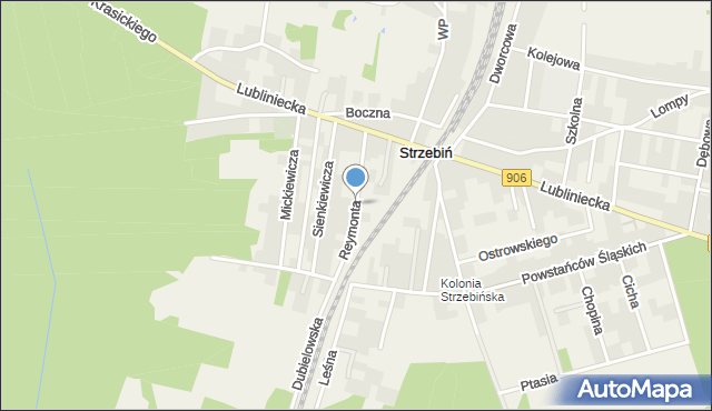 Strzebiń, Reymonta Władysława, mapa Strzebiń