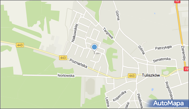 Tuliszków, Reja Mikołaja, mapa Tuliszków