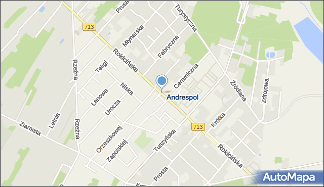 Andrespol, Rokicińska, mapa Andrespol