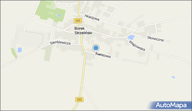 Borek Strzeliński, Różana, mapa Borek Strzeliński