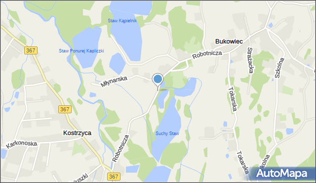 Bukowiec gmina Mysłakowice, Robotnicza, mapa Bukowiec gmina Mysłakowice