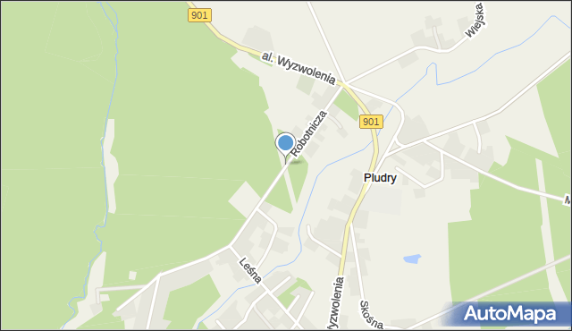 Pludry, Robotnicza, mapa Pludry