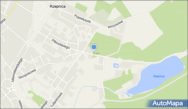 Rzepnica, Różana, mapa Rzepnica