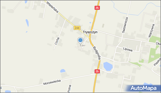 Tryszczyn, Równa, mapa Tryszczyn