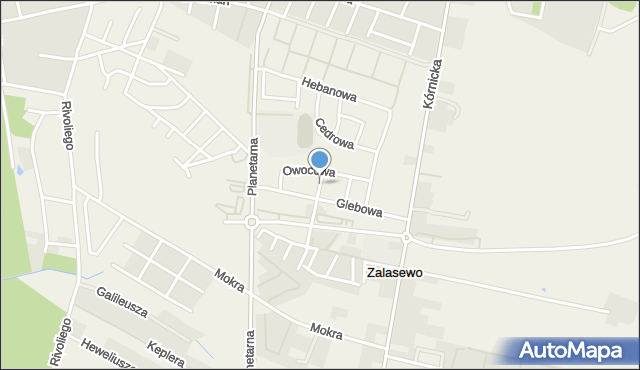 Zalasewo, Roślinna, mapa Zalasewo