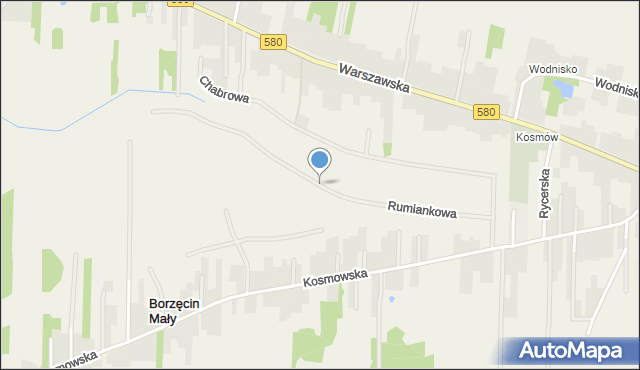 Borzęcin Duży, Rumiankowa, mapa Borzęcin Duży