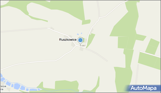 Ruszkowice gmina Niemcza, Ruszkowice, mapa Ruszkowice gmina Niemcza