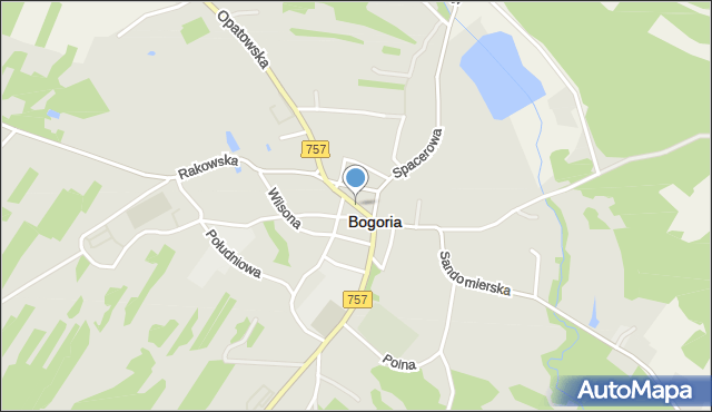Bogoria powiat staszowski, Rynek, mapa Bogoria powiat staszowski