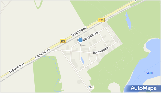 Łopuchowo gmina Murowana Goślina, Rydzowa, mapa Łopuchowo gmina Murowana Goślina