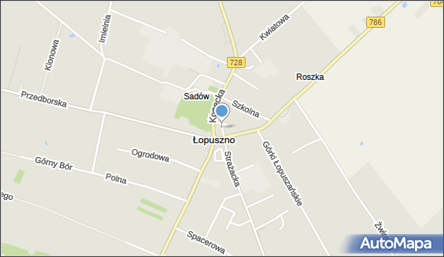 Łopuszno, Rynek, mapa Łopuszno