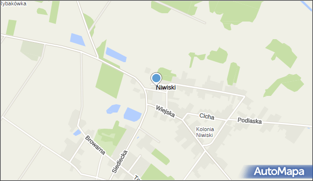 Niwiski, Rynek, mapa Niwiski