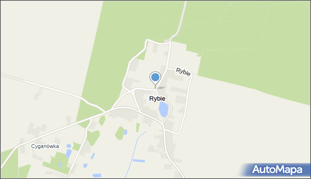 Rybie gmina Rejowiec, Rybie, mapa Rybie gmina Rejowiec