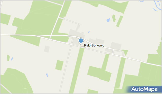 Ryki-Borkowo, Ryki-Borkowo, mapa Ryki-Borkowo