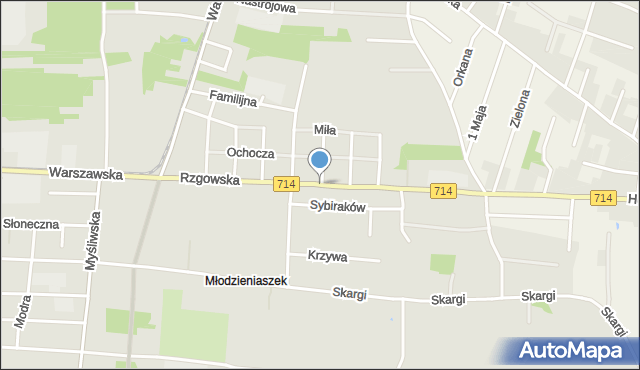 Pabianice, Rzgowska, mapa Pabianic