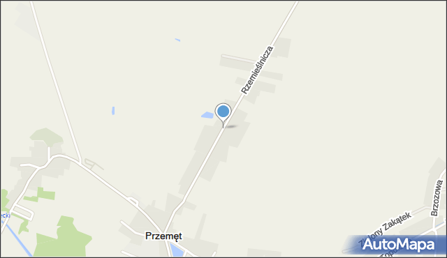 Przemęt, Rzemieślnicza, mapa Przemęt