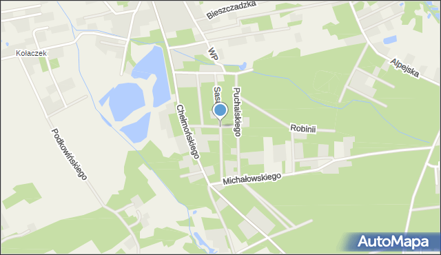 Budy-Grzybek, Sasanki, mapa Budy-Grzybek