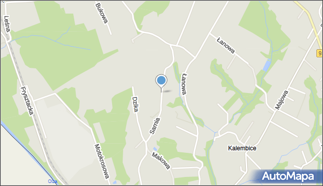 Cieszyn, Sarnia, mapa Cieszyna