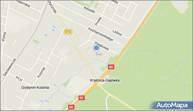 Gostynin, Sadownika Witolda, mapa Gostynin