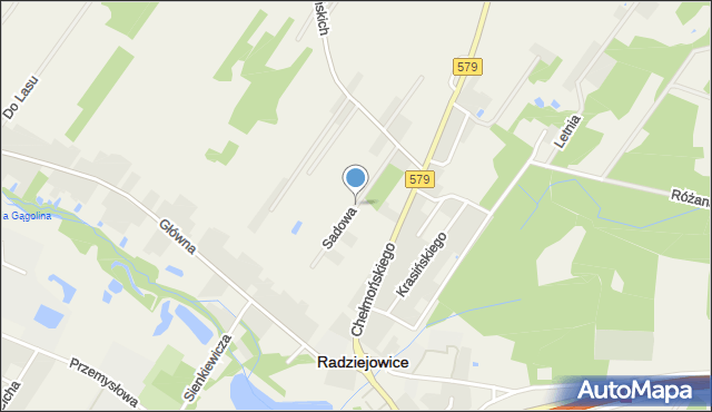 Radziejowice, Sadowa, mapa Radziejowice