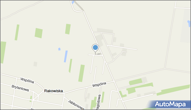 Rakowiska gmina Biała Podlaska, Sasankowa, mapa Rakowiska gmina Biała Podlaska