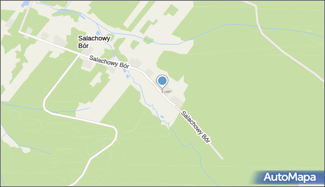 Salachowy Bór, Salachowy Bór, mapa Salachowy Bór