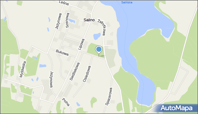 Salino, Salino, mapa Salino
