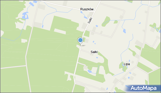 Sałki gmina Gostynin, Sałki, mapa Sałki gmina Gostynin