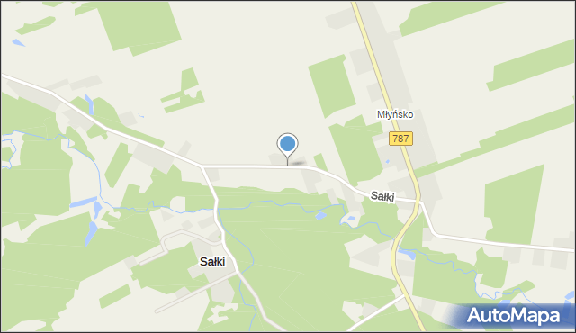 Sałki gmina Pionki, Sałki, mapa Sałki gmina Pionki