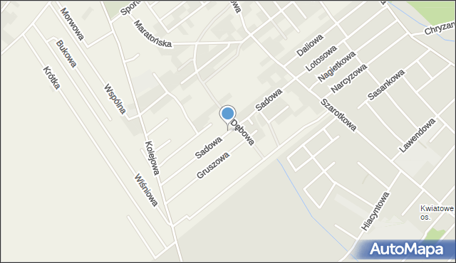Skórzewo gmina Dopiewo, Sadowa, mapa Skórzewo gmina Dopiewo