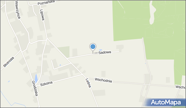 Wąsowo, Sadowa, mapa Wąsowo