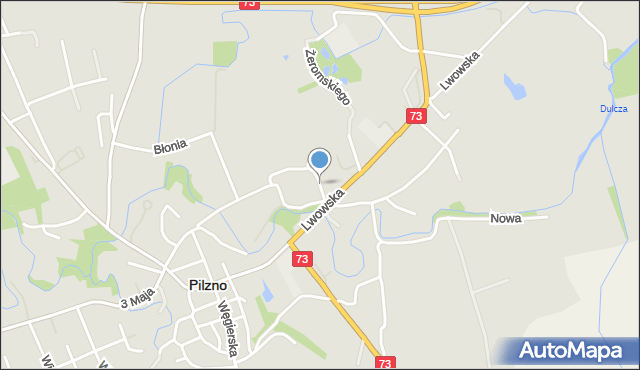 Pilzno, Ściegiennego Piotra, ks., mapa Pilzno